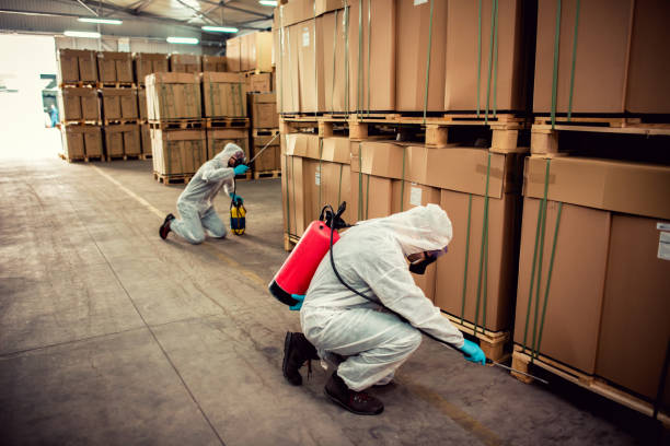 Best Best Pest Control Near Me  in Munster, IN
