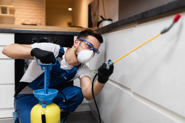 Best Flea Control Services  in Munster, IN