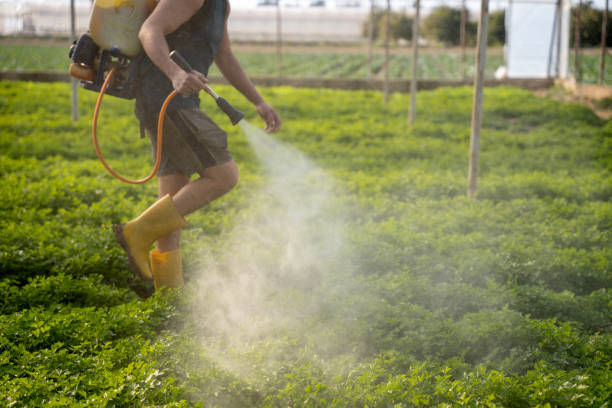 Best Mosquito Control Services  in Munster, IN