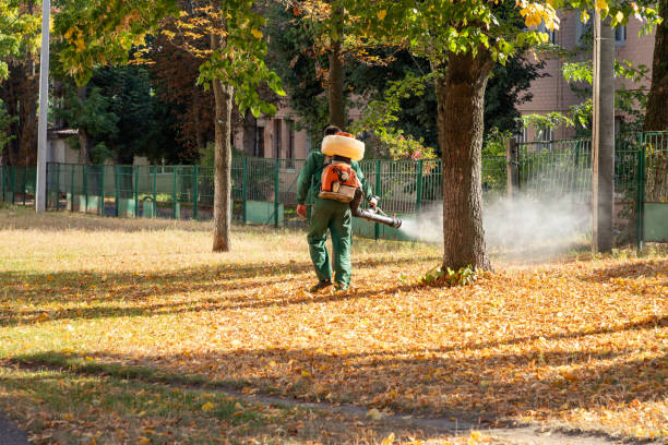 Best Wildlife Control Services  in Munster, IN