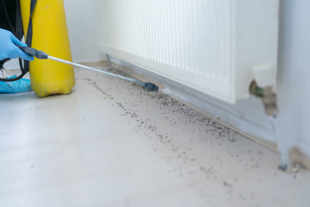 Best Pest Inspection Near Me  in Munster, IN