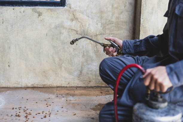 Best Pest Removal Services  in Munster, IN